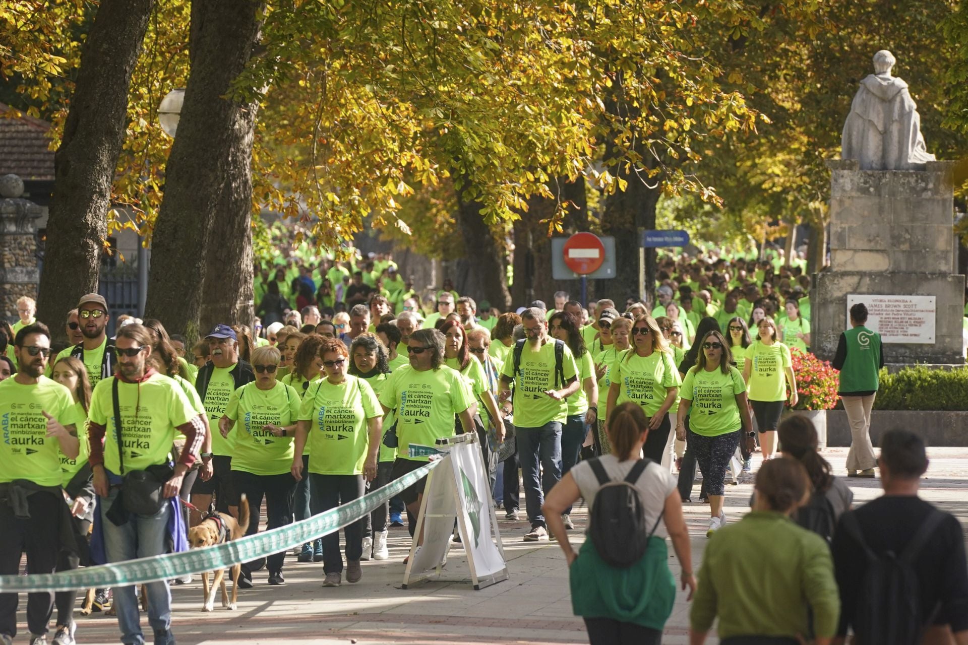 La marea verde contra el cáncer toma Vitoria