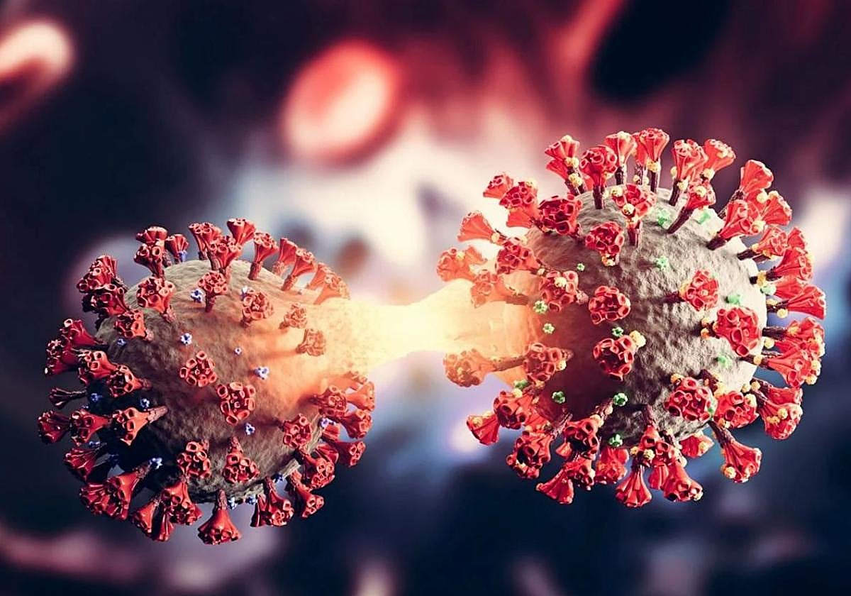 Imagen digital del covid-19.