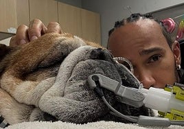 Hamilton, junto a su perro.