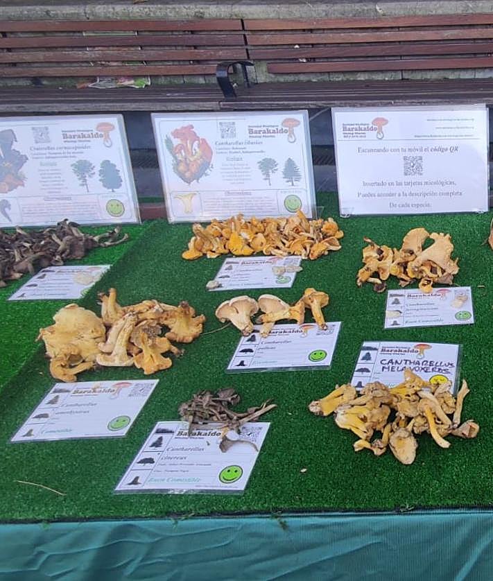 Imagen secundaria 2 - Su carácter divulgativo lo han mantenido a lo largo de estos 50 años.