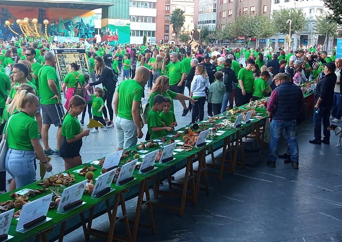 Imagen secundaria 1 - Su carácter divulgativo lo han mantenido a lo largo de estos 50 años.