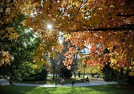 Vista del parque de La Florida.
