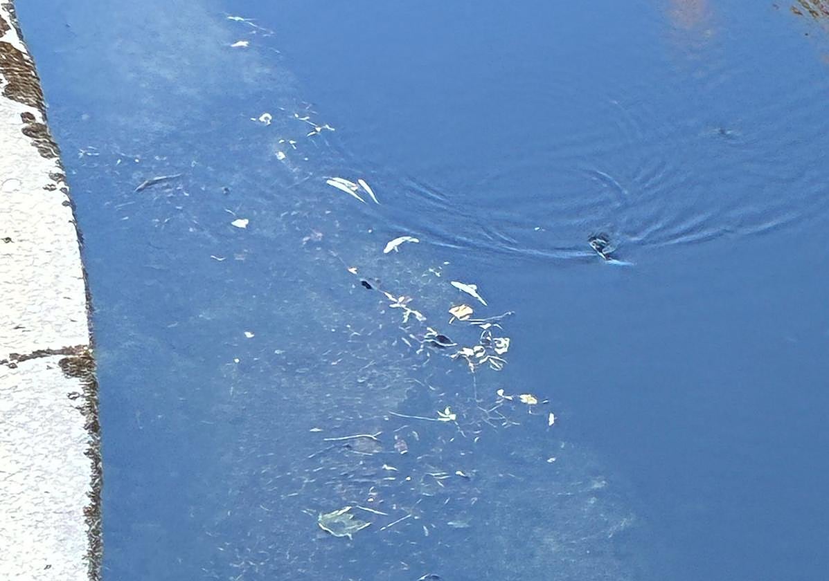 Imagen del Bayas en la mañana de este jueves.