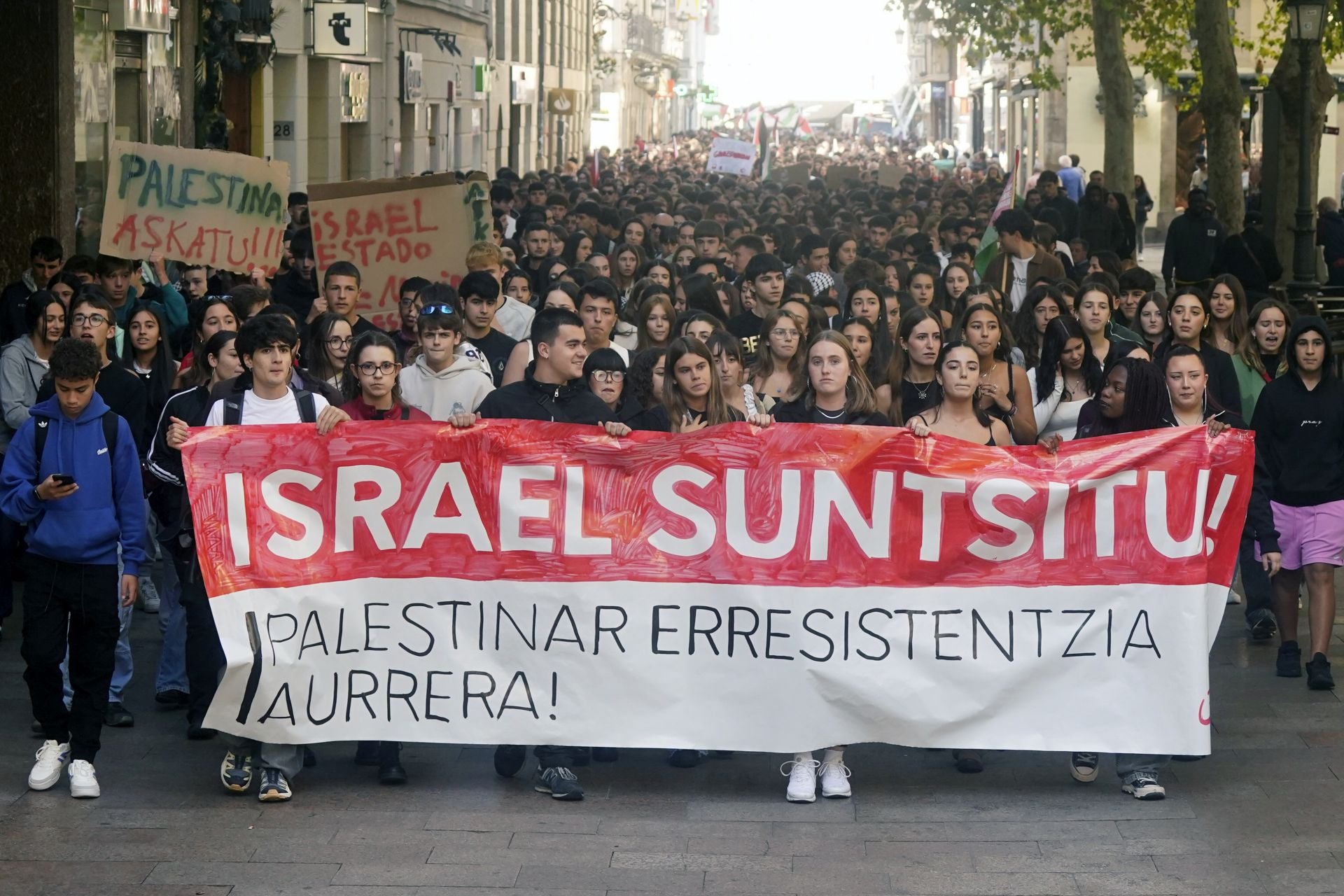Las imágenes de las protestas propalestina en Vitoria