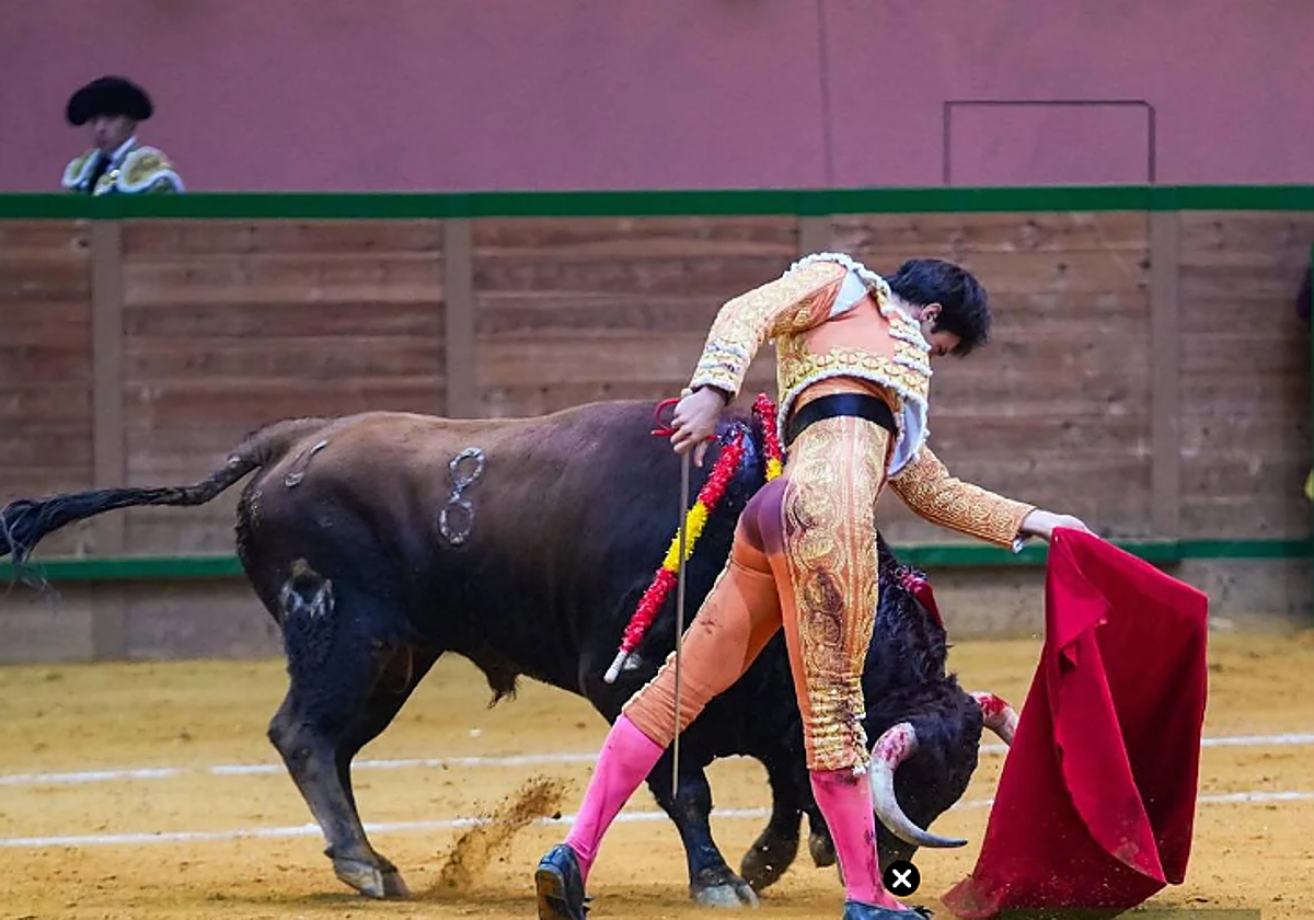 Cristiano Torres, durante la faena.