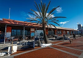 El Puerto Deportivo de Getxo ve frenado su plan de reforma con la renuncia de la empres.