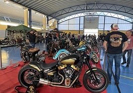 Se podrán contemplan motos ganadoras de algunos shows y otras que han sido customizadas.