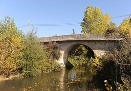 Alerta de contaminación en el río Ayuda entre Treviño y el municipio alavés de Berantevilla