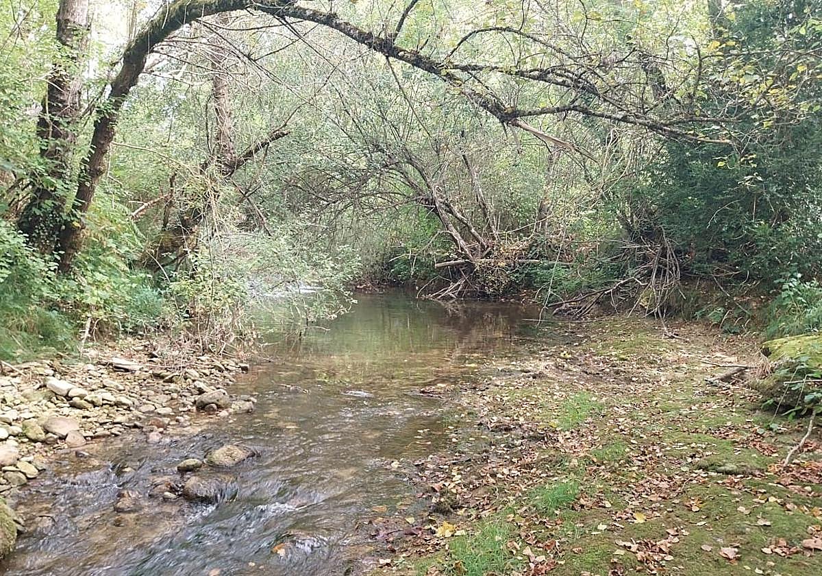 El río Ayuda es uno de los afluentes del Zadorra.