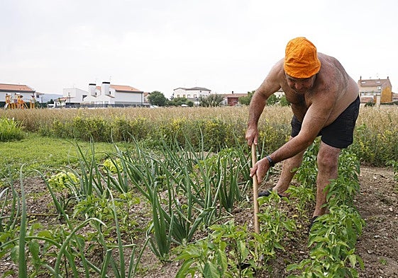 Un agricutor trabaja en una huerta.