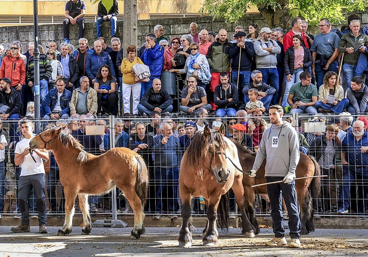 La Feria de Agurain en imágenes