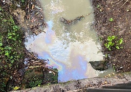 Técnicos analizan los vertidos y la muerte de un ave en el Gobela.