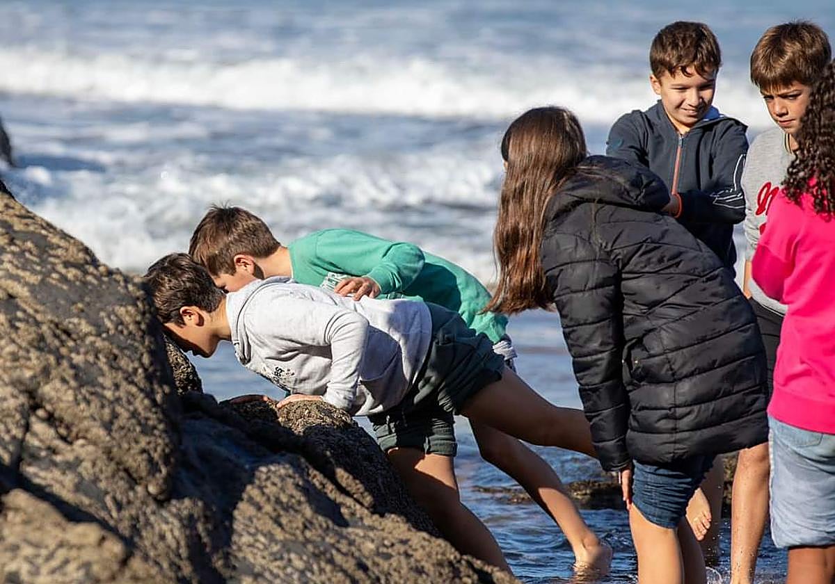 'Azterkosta' es una de las actividades más exitosas.