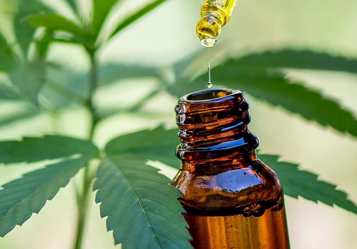 Gotas de medicina a base de cannabis.