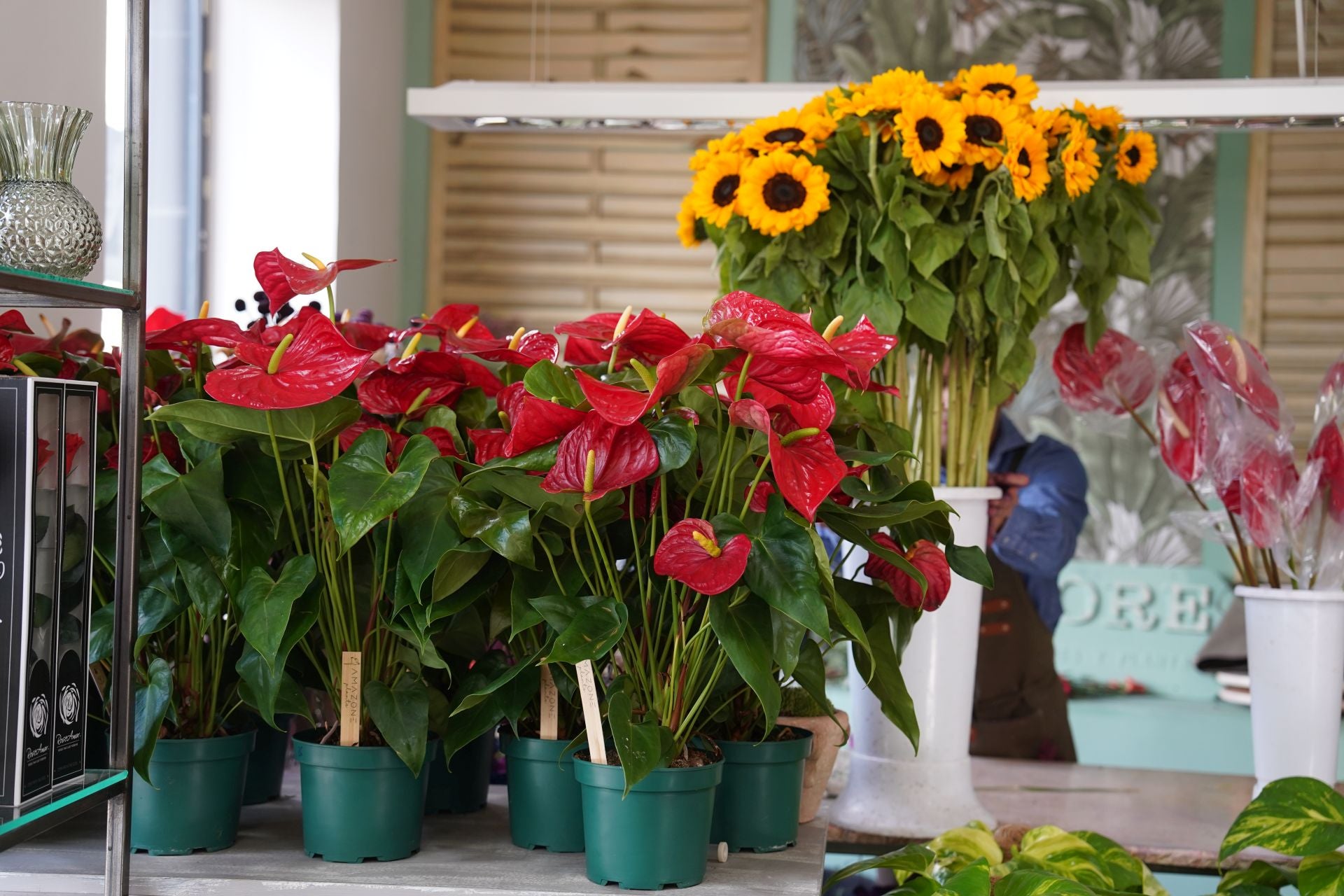 Nagore, la niña que vendía flores en el mercado de El Arenal, abre su floristería frente al Ayuntamiento de Bilbao