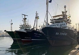 Los atuneros permanecen amarrados en Dakar desde hace casi un año.