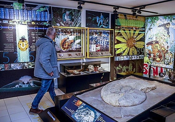 El Ciencias Naturales abrirá en 2028 tras 10 meses de obras en la Casa del Cordón