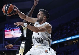 Campazzo es uno de los jugadores más importantes del Real Madrid.