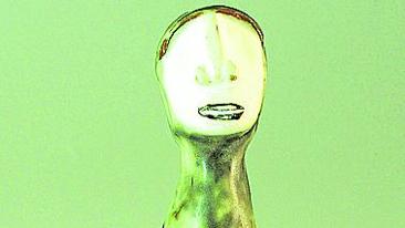 &#039;Plástica mozambiqueña&#039; Butcheca y Donato