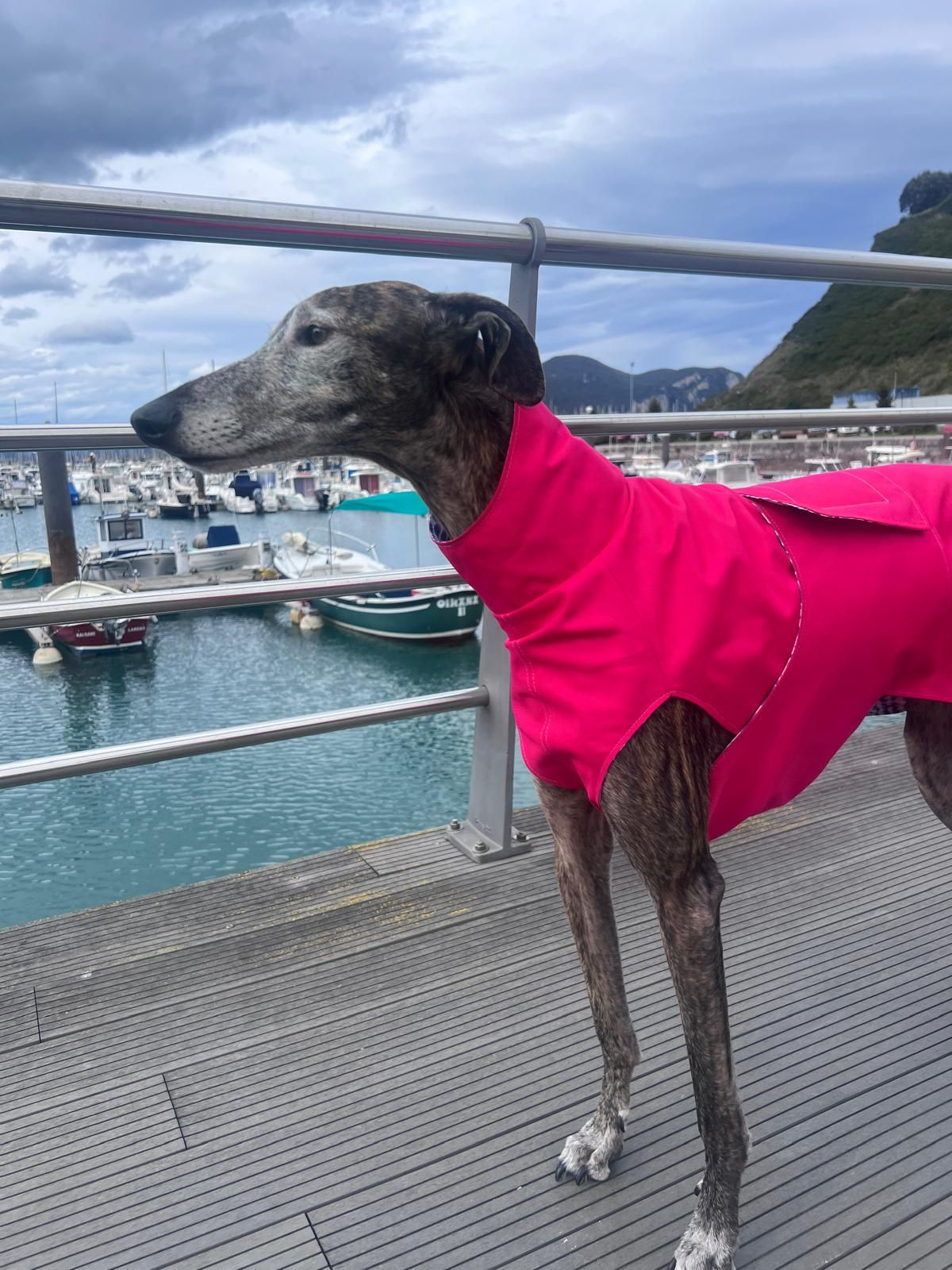 Marta, la sastre de los perros más elegantes de Bilbao: «Les tomo las medidas… ¡y hay premio!»