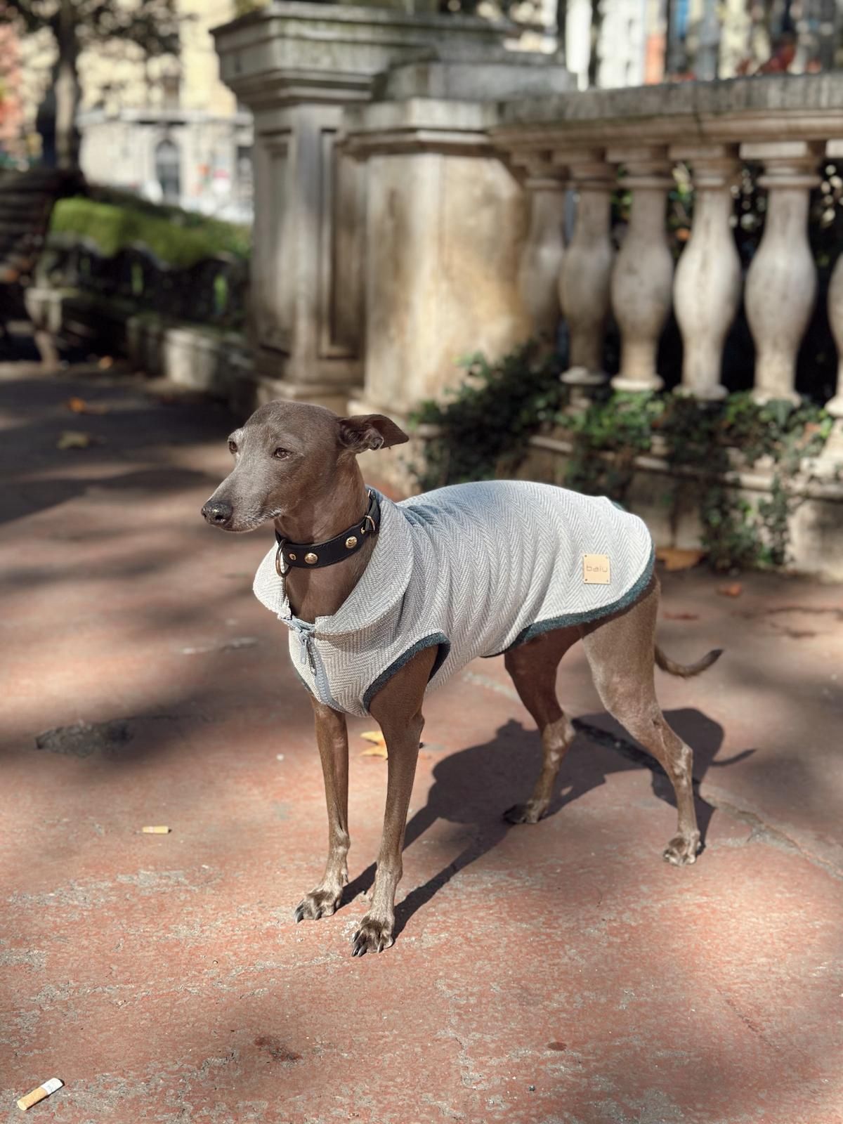 Marta, la sastre de los perros más elegantes de Bilbao: «Les tomo las medidas… ¡y hay premio!»