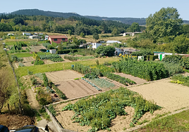 Terrenos de alto valor agrológico amenazados por el nuevo plan parcial.