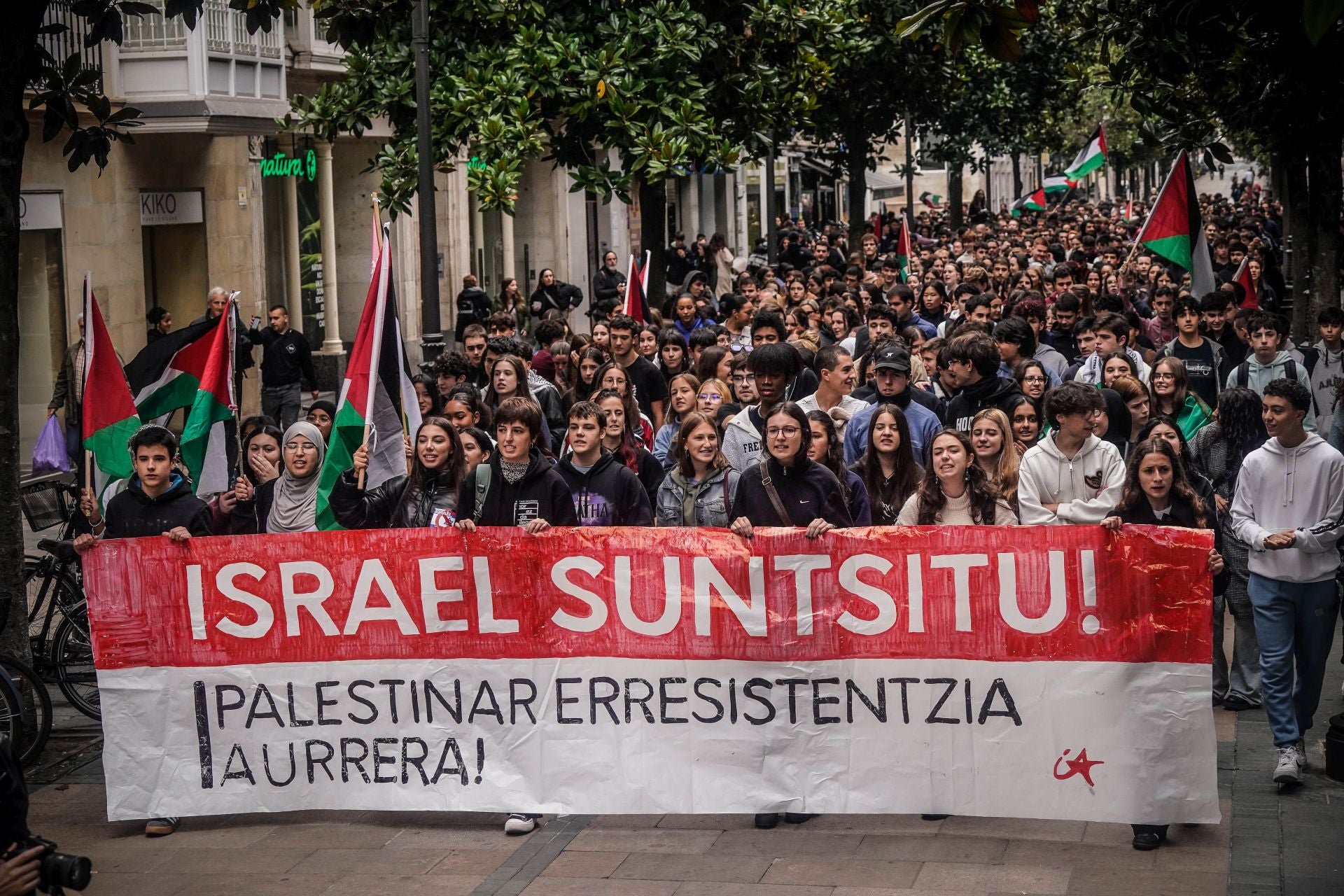 La jornada de huelga en apoyo a Palestina en Álava, en imágenes