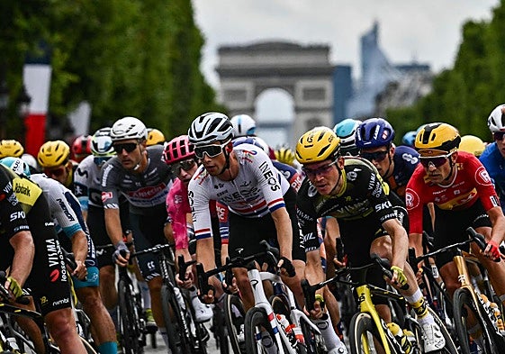 El pelotón, duante el Tour de Francia.