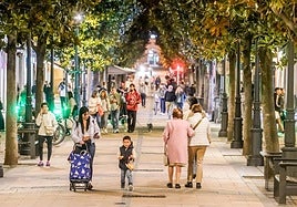 La arteria más céntrica de Vitoria ha ganado 35 farolas nuevas y, además, se ha cambiado el modelo doble por postes individuales.