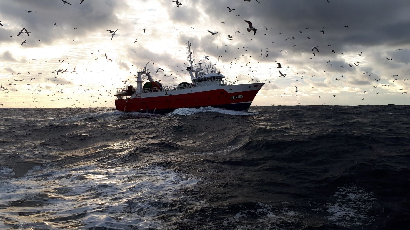 Las vedas han obligado a los barcos de Ondarroa a buscar nuevos caladeros.