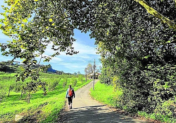 La ruta permite un paseo tranquilo y sin dificultades.