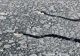 Dos barcos atraviesan un mar de hielo en las proximidades del Ártico.