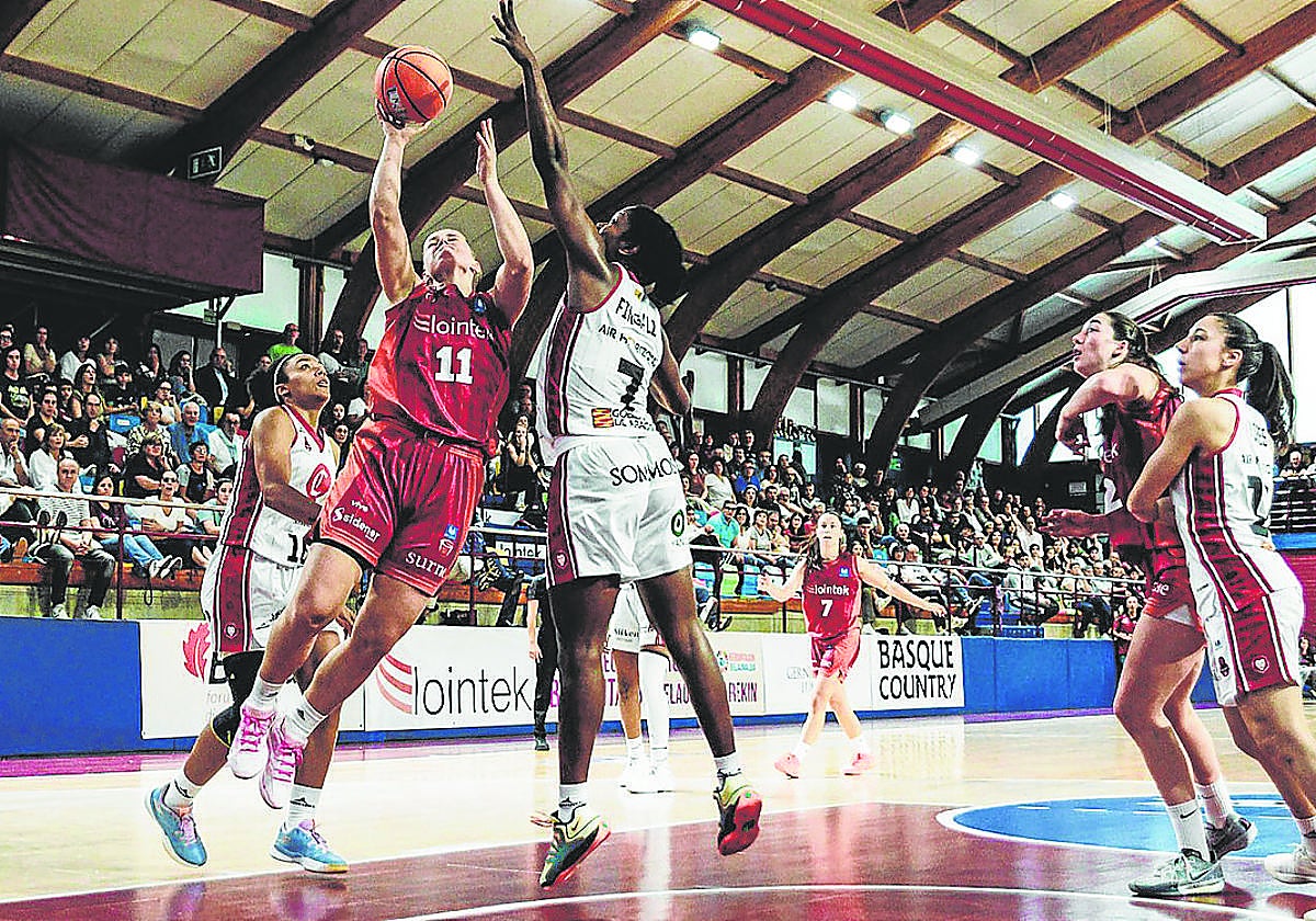 Westerik mira a canasta ante la oposición de Fingall en Maloste