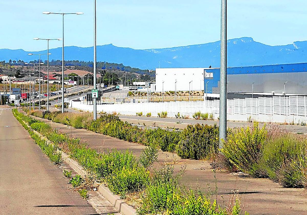 La maleza se deja ver en los polígonos.