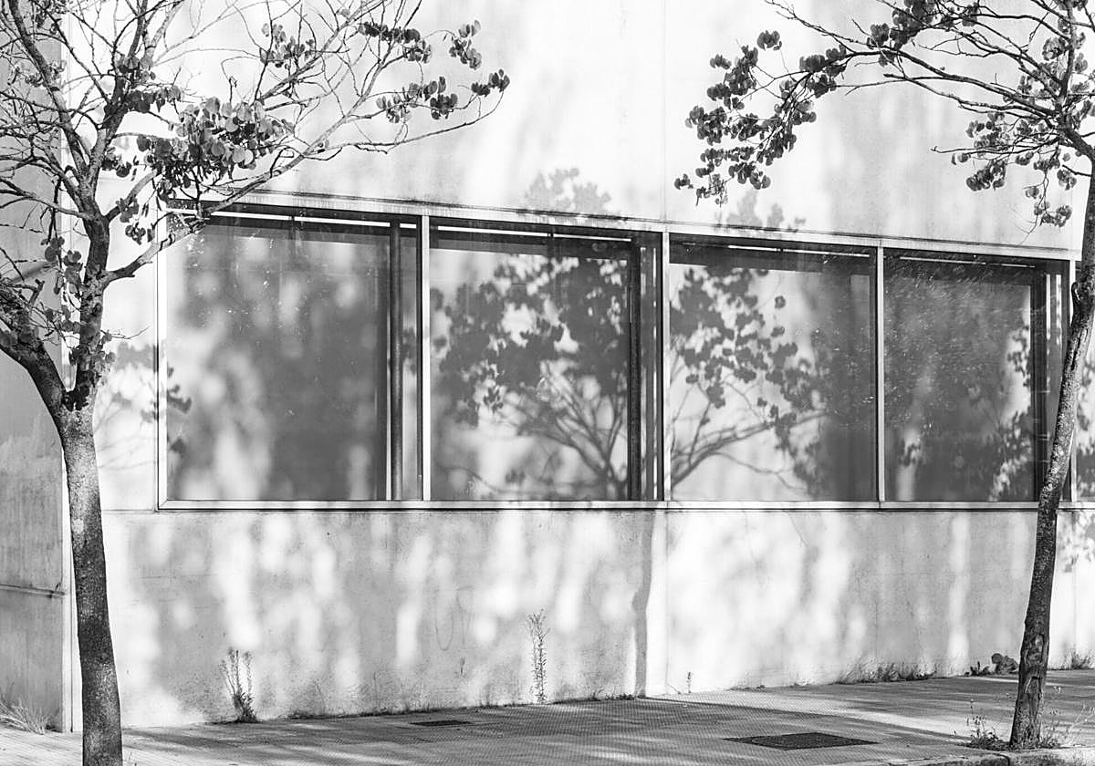 'Arbonización' de Ana Sampedro está expuesta en las cristaleras del Archivo Municipal de Vitoria