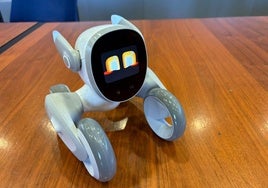 Imagen de Loona, el robot que interactúa con los usuarios.