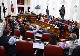 Las sentencias sobre el euskera dividen al PNV y PSE en Álava