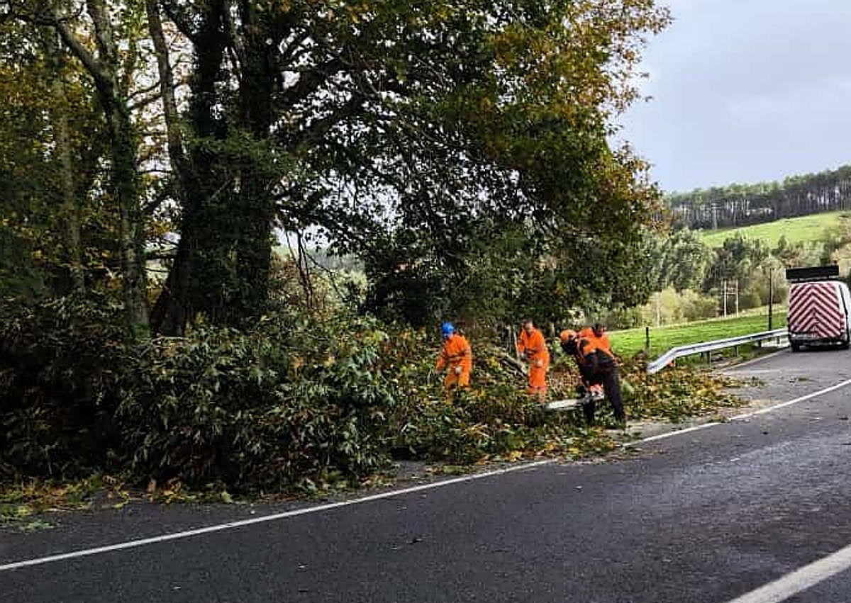 Imagen secundaria 1 - Daños causados por el viento en un parque y una carretera de Bermeo.