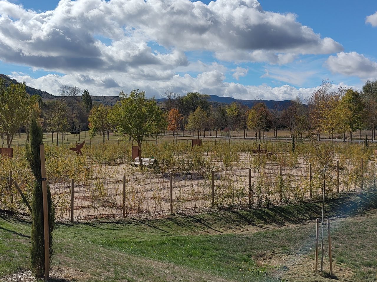 Este es el estado que presenta el espacio, sin frondosidad, a pocas jornadas de su inauguración.