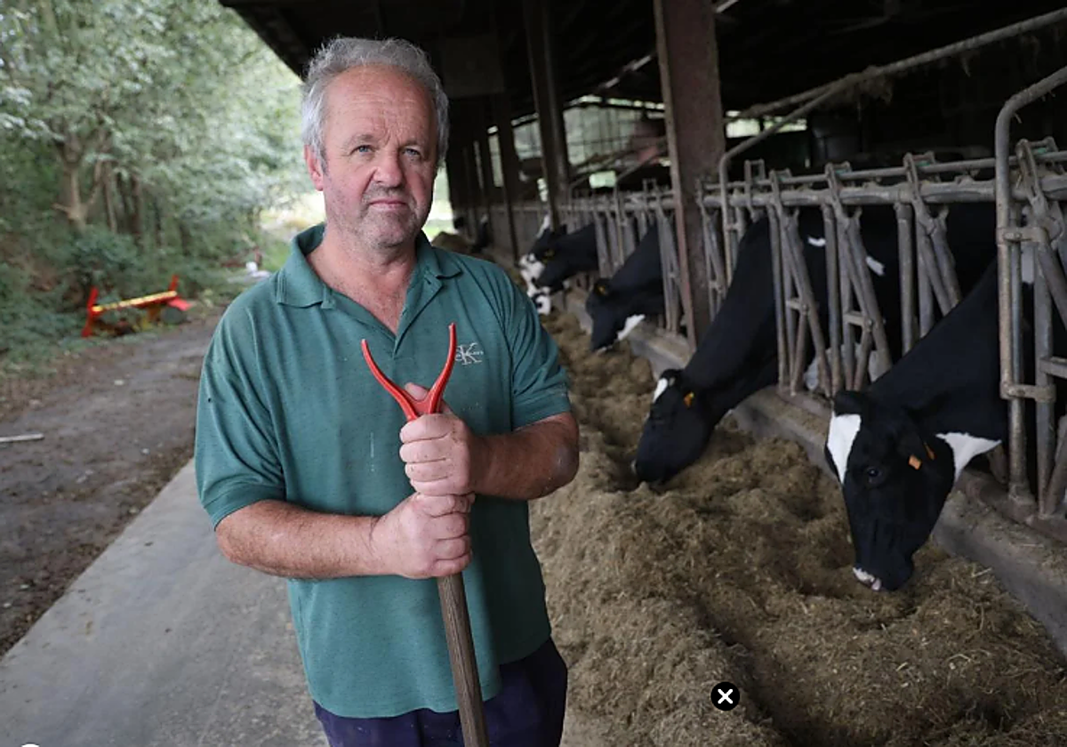 Iñaki Goenaga, presidente de ENBA, posa frente a su explotación ganadera con 140 vacas ubicada en Urnieta.