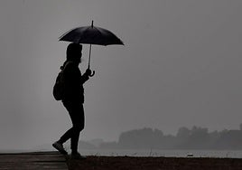 Una mujer pasea mientras sostiene un paraguas.