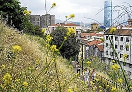 En esta zona crecen más de 130 especies silvestres, según un estudio de 2021.