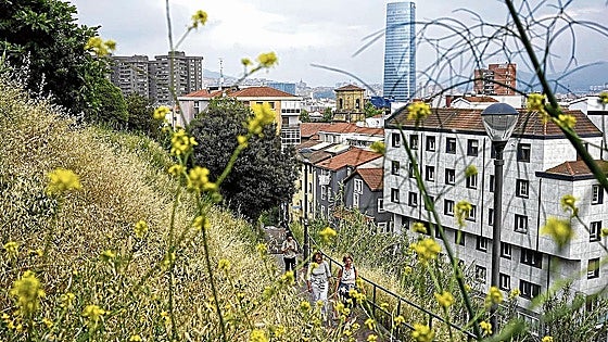 Bilbao crea un «jardín botánico urbano» en la ladera que une Deusto y Arangoiti