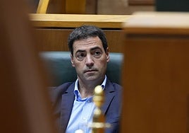 Pradales: «Siento pena y rabia al ver a jóvenes vascos sembrando la violencia en nuestras calles»