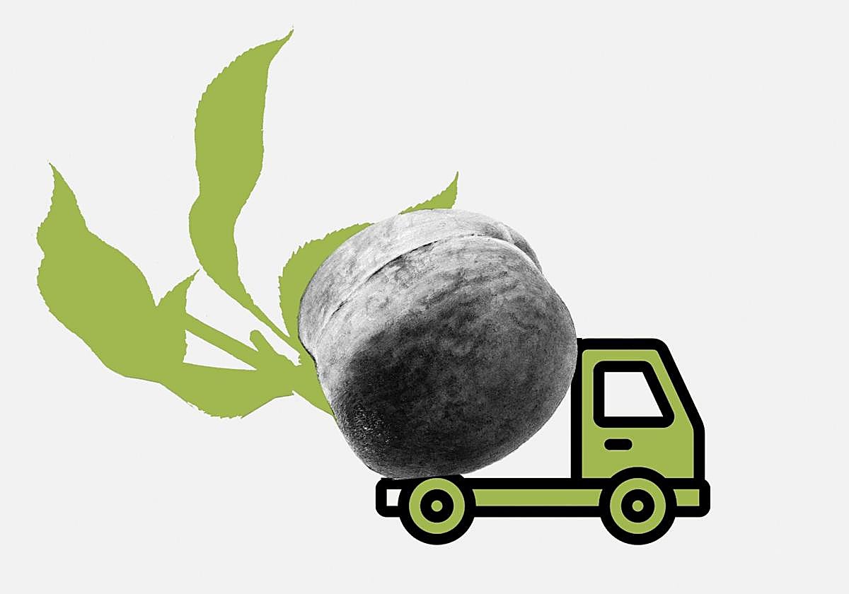 ¡Viva Calanda, viva la libertad!