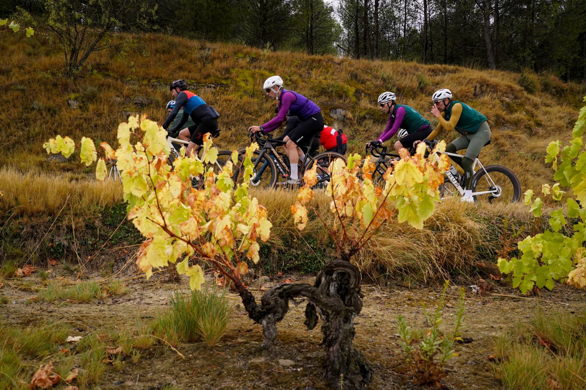 Las mejores imágenes de la Orbea Gravel