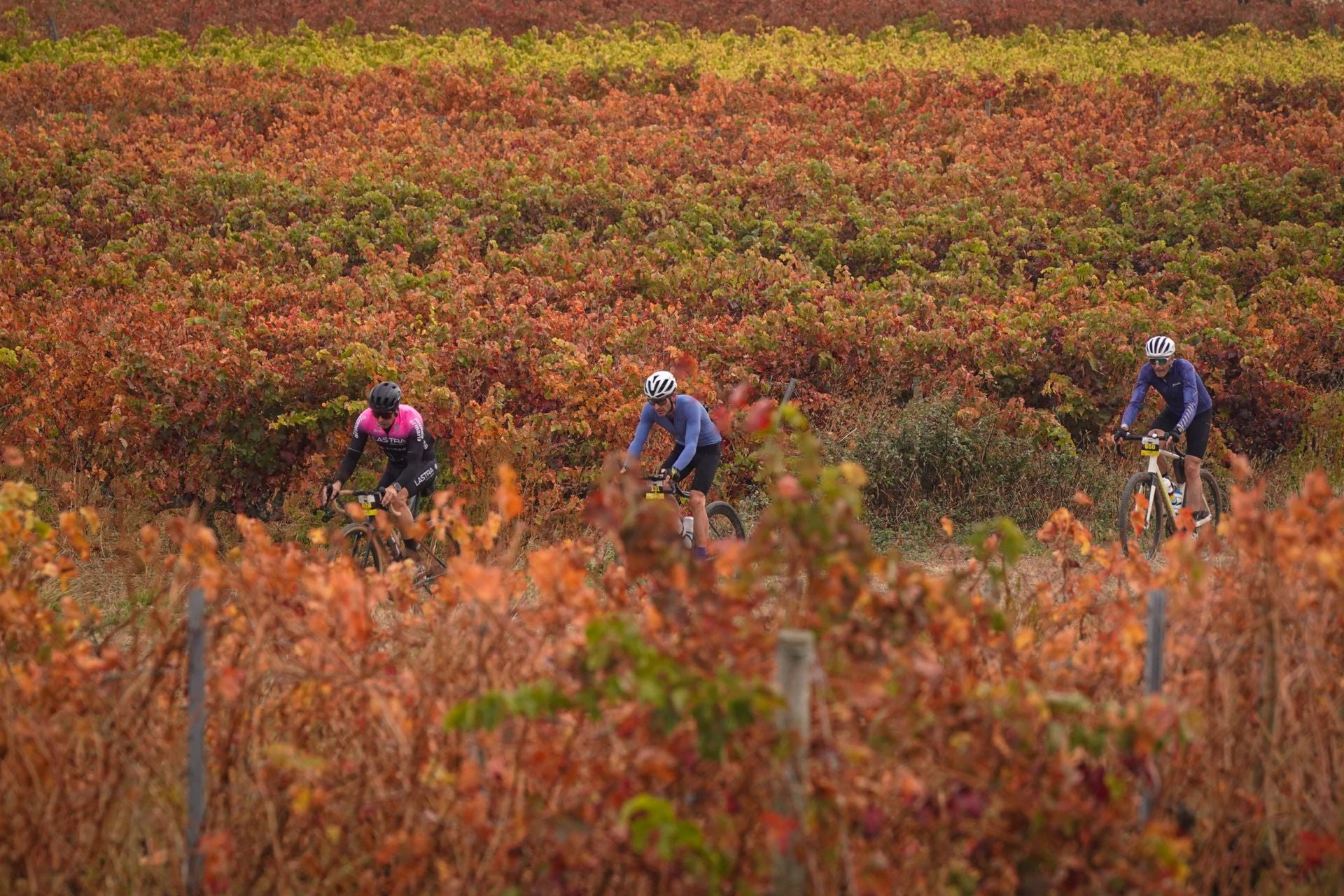 Las mejores imágenes de la Orbea Gravel