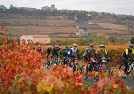 Las mejores imágenes de la Orbea Gravel