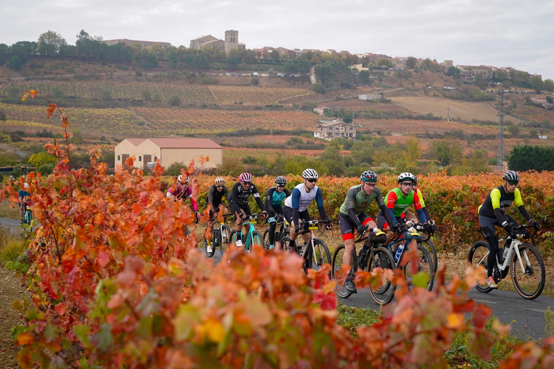 Las mejores imágenes de la Orbea Gravel