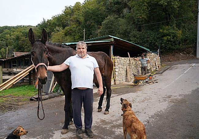 Aritz Zornotza, en La Mella, con su mula Pastora. El fuego llegó a los árboles que se ven al fondo.
